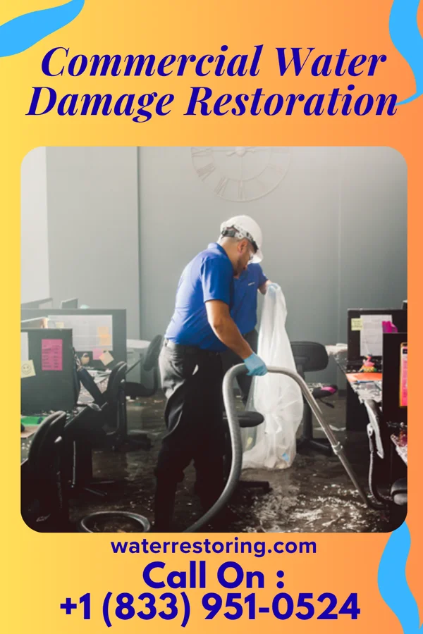 Commercial Water Damage Restoration in Fairmont City, IL