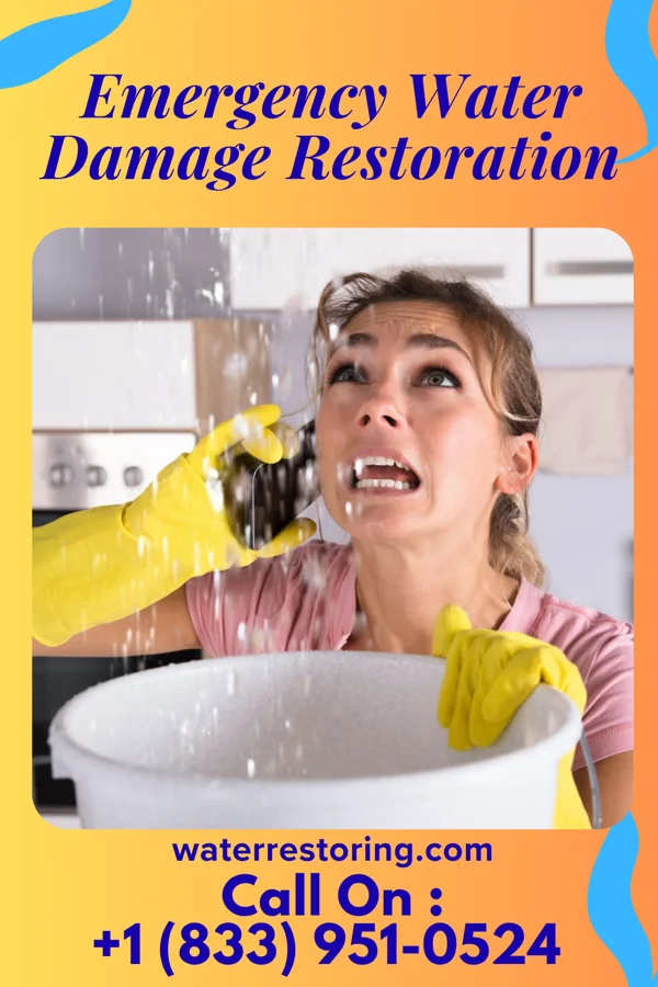 Emergency Water Damage Restoration in Fairmont City, IL