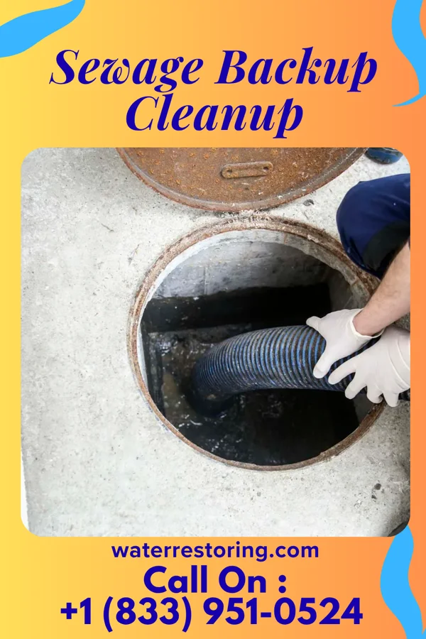 Sewage Backup Cleanup in Fairmont City, IL
